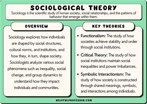 Philosophical Perspectives and Social Activism