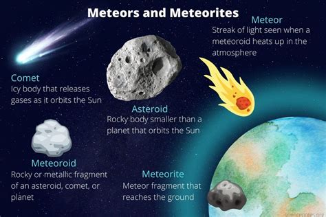 Physical Attributes and Meteoric Rise