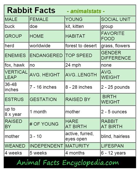 Physical Statistics of Janny Bunny