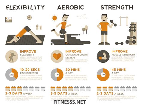 Physical attributes and fitness routine
