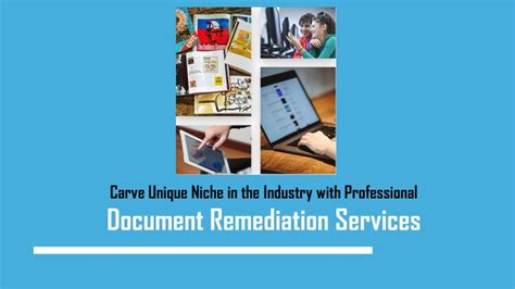 Professional Journey: Carving a Niche in the Industry