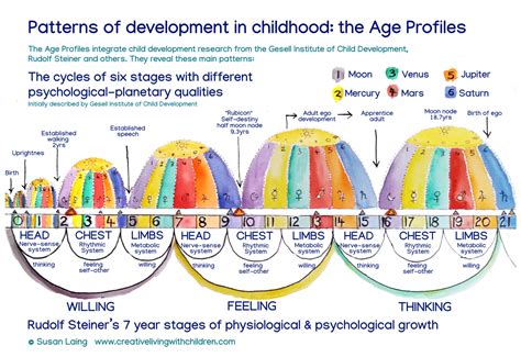 Revealing Insights into the Early Life Journey