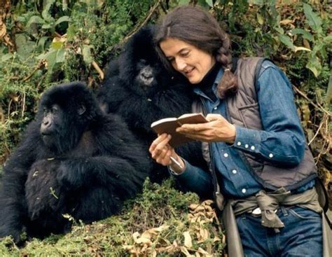 Revealing the Enigma of Daisy Fossey's Age!