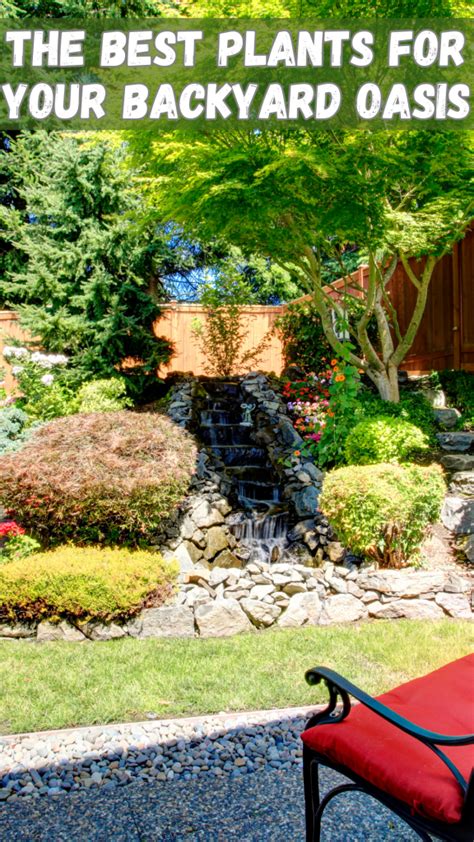 Select the Right Plants for Your Outdoor Oasis