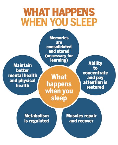 Sleep and Physical Health: The Restorative Power