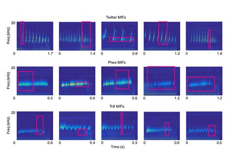 The Evolution of a Distinctive Sound