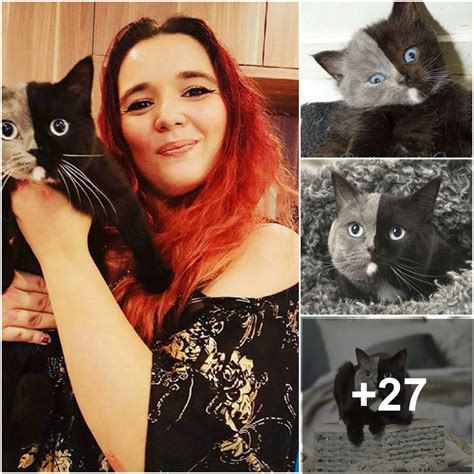 The Extraordinary Journey of Francesca Kitten Through Time