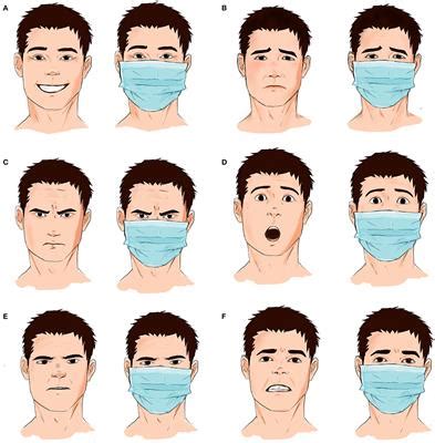 The Impact of Facial Expressions on Interpersonal Communication