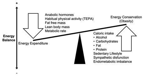 The Impact of Physical Activity on Metabolism and Caloric Expenditure