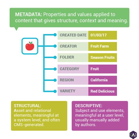 The Influence of Metadata: Enhancing Website Content Beyond the Text