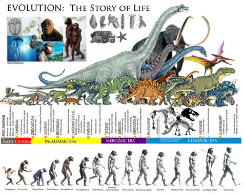 The Life Story of a Prehistoric Creature