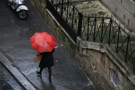 The Mysterious Persona of Paris Rain
