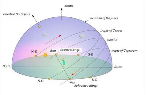 The Path of a Rising Star