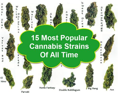 The Phenomenon Following the Popular Strain