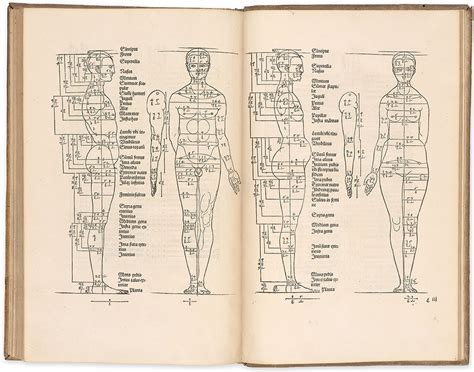 The Representation of the Human Body in Durer's Art: A Comprehensive Analysis of Anatomy and Proportions