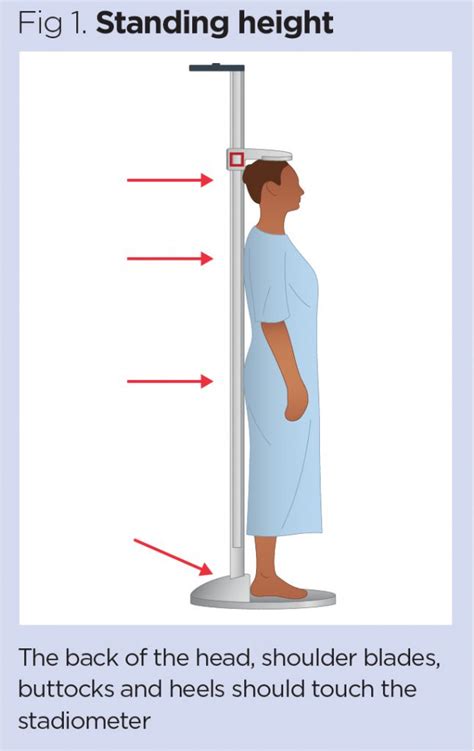 Understanding Elizabeth Ess's Height: How Does She Measure Up?