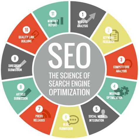 Understanding the Process of Website Ranking Determination by Search Engines