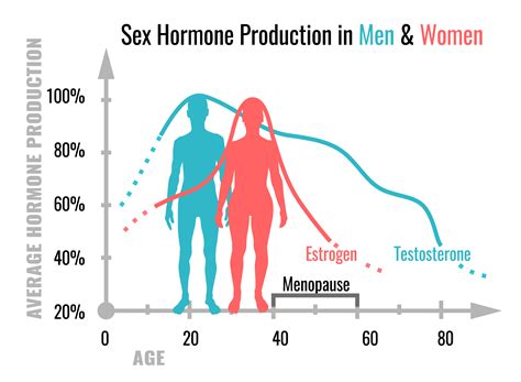 Understanding the Role of Hormones in Body Weight Fluctuation