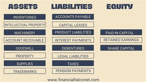 Understanding the Value Breakdown of Shelby's Assets