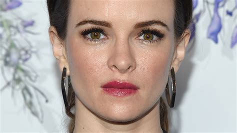 Unveiling Danielle Panabaker's Financial Fortune