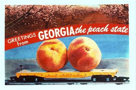 Unveiling the Fascinating Journey of Georgia Peach