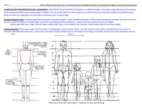Unveiling the Figures: Age, Height, and Figure