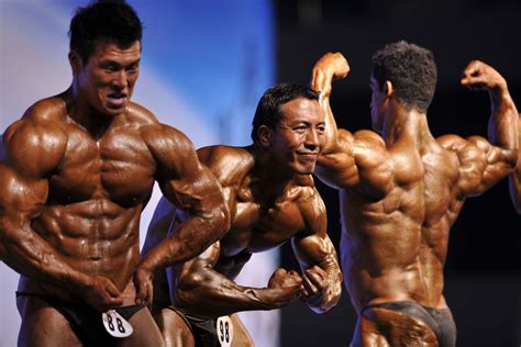Unveiling the Impressive Stature: Exploring Asian Enchantment's Noteworthy Physique
